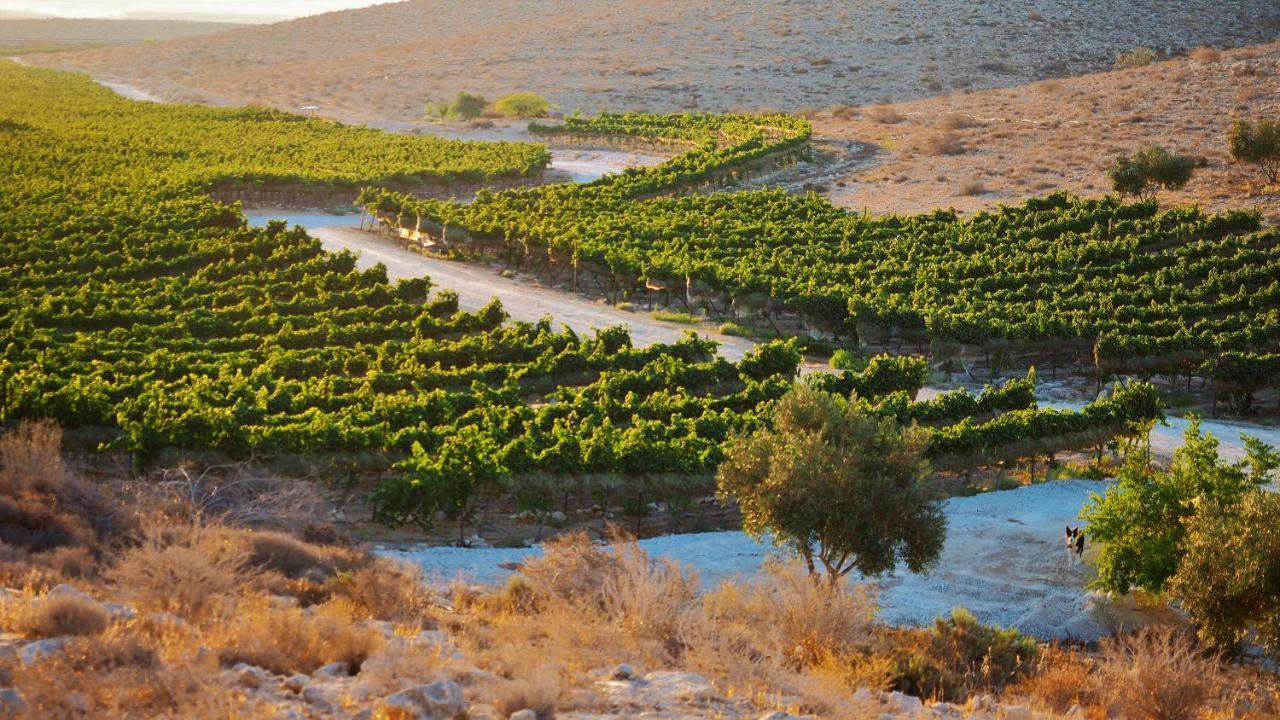 Carmey Avdat Farm Midreshet Ben Gurion Exterior foto