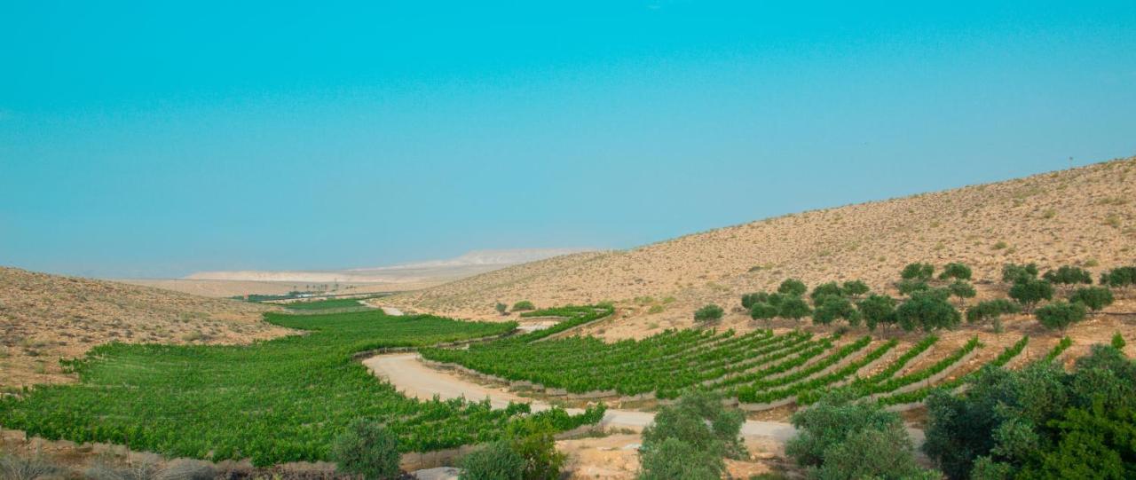 Carmey Avdat Farm Midreshet Ben Gurion Exterior foto