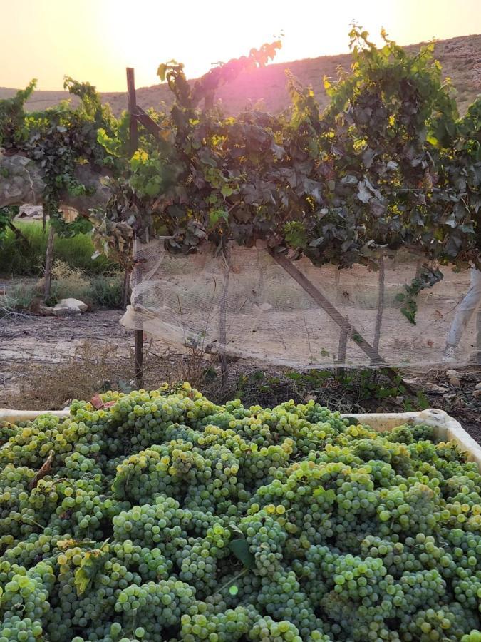Carmey Avdat Farm Midreshet Ben Gurion Exterior foto